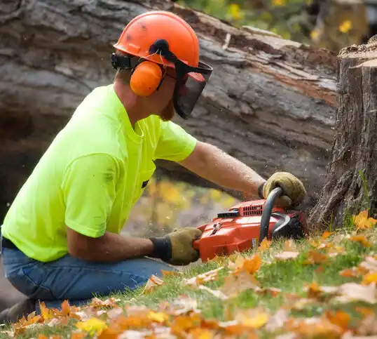 tree services Gerald